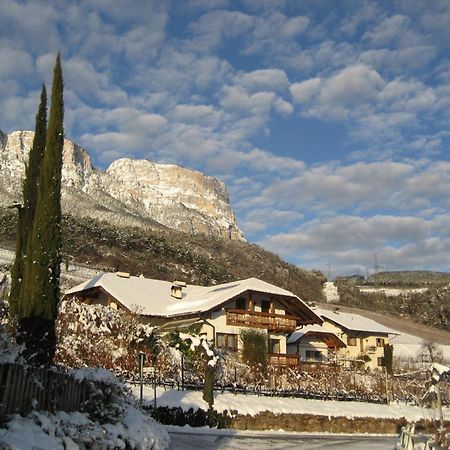 Gfillhof Ferienwohnung 3 Appiano Sulla Strada Del Vino Εξωτερικό φωτογραφία