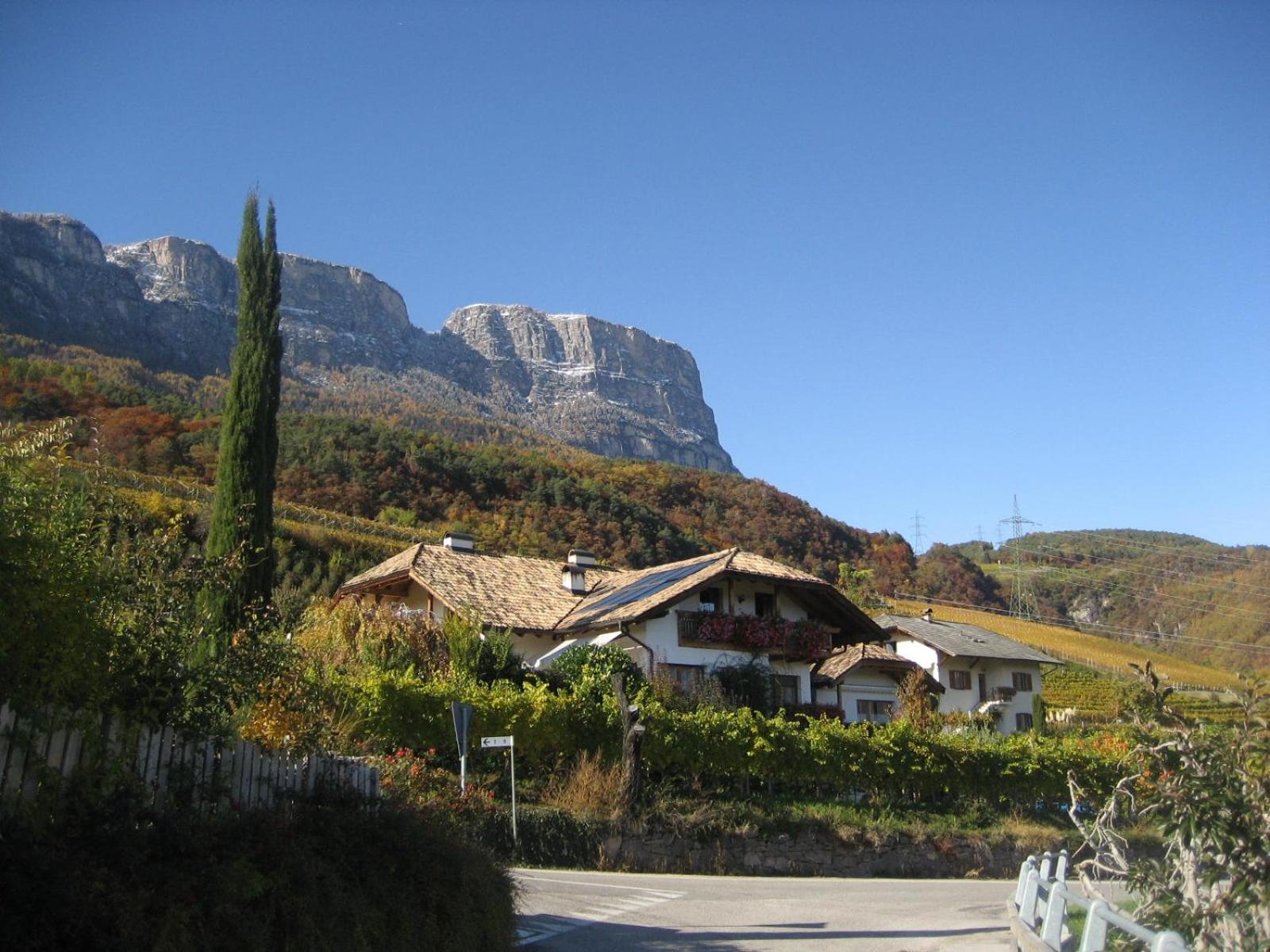 Gfillhof Ferienwohnung 3 Appiano Sulla Strada Del Vino Εξωτερικό φωτογραφία