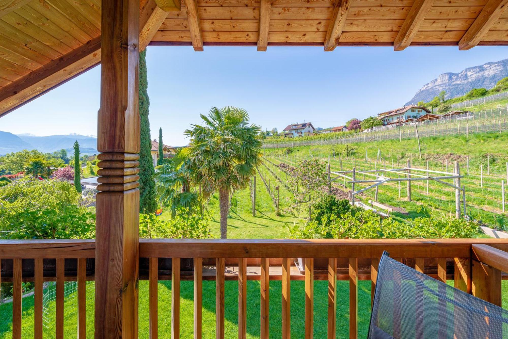 Gfillhof Ferienwohnung 3 Appiano Sulla Strada Del Vino Εξωτερικό φωτογραφία