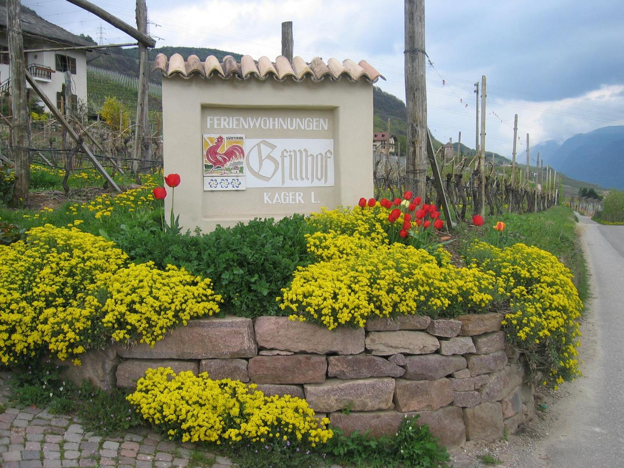 Gfillhof Ferienwohnung 3 Appiano Sulla Strada Del Vino Εξωτερικό φωτογραφία